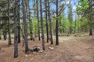 64 Skidoo Rd, Fairplay, CO 80440 - Photo 9