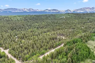 64 Skidoo Rd, Fairplay, CO 80440 - Photo 27