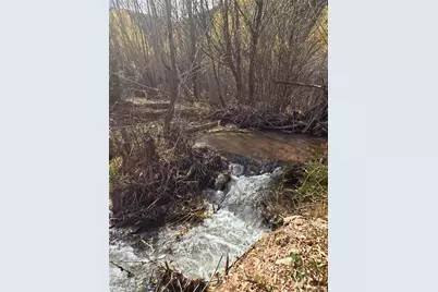 8225 W US Highway 24, Cascade, CO 80809 - Photo 49