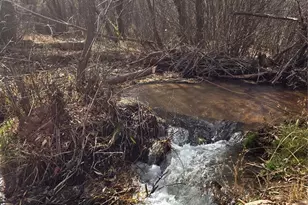 8225 W US Hwy 24, Cascade, CO 80809 - Photo 49