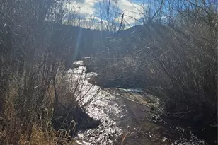 8225 W US Hwy 24, Cascade, CO 80809 - Photo 47