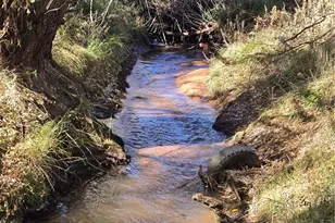 8225 W US Hwy 24, Cascade, CO 80809 - Photo 45