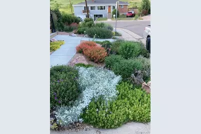 1621 Salvia Street, Golden, CO 80226 - Photo 35