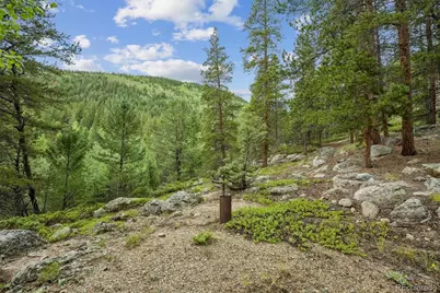 002 Fall River Road, Idaho Springs, CO 80452 - Photo 7
