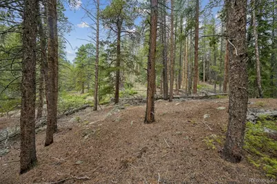 002 Fall River Road, Idaho Springs, CO 80452 - Photo 9