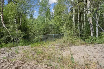 002 Fall River Road, Idaho Springs, CO 80452 - Photo 5