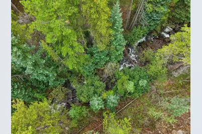 002 Fall River Road, Idaho Springs, CO 80452 - Photo 19