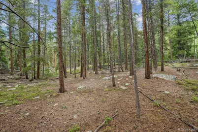 002 Fall River Road, Idaho Springs, CO 80452 - Photo 13