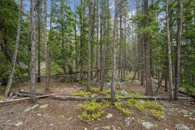 002 Fall River Road, Idaho Springs, CO 80452 - Photo 11