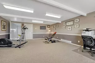 20220 Elk Creek Dr, Colorado Springs, CO 80908 - Photo 43