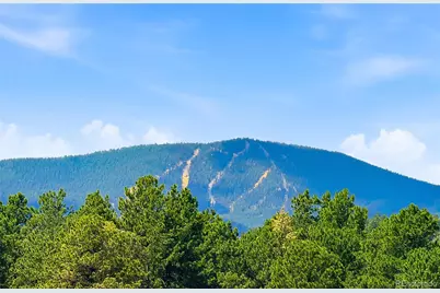 7665 Malamute Drive, Evergreen, CO 80439 - Photo 5