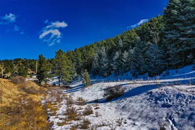 278 Penrose Circle, Florissant, CO 80816 - Photo 23