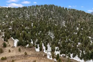 278 Penrose Cir, Florissant, CO 80816 - Photo 1