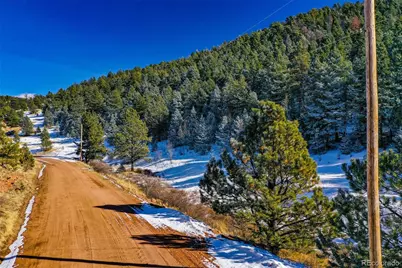 278 Penrose Circle, Florissant, CO 80816 - Photo 19