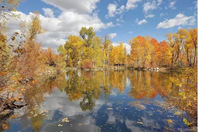 17573 Trout Circle, Buena Vista, CO 81211 - Photo 3