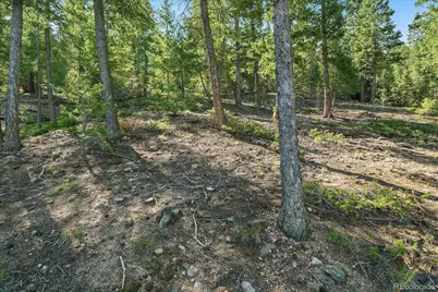 33844 Bergen View Trail, Evergreen, CO 80439 - Photo 33