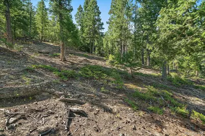 33844 Bergen View Trail, Evergreen, CO 80439 - Photo 11