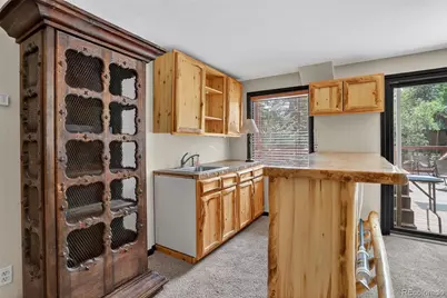 723 Snyder Mountain Road, Evergreen, CO 80439 - Photo 27