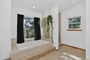 8864 S Indian Creek St, Highlands Ranch, CO 80126 - Photo 33