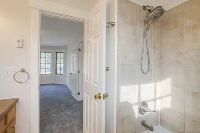 372 N Oak Street, Alma, CO 80420 - Photo 23