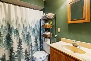 13469 Old Timer Trail, Woodland Park, CO 80863 - Photo 17