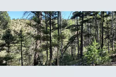 Lot 5610 Dawson Road, Fort Garland, CO 81133 - Photo 3