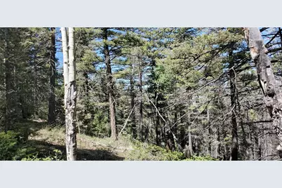 Lot 5610 Dawson Road, Fort Garland, CO 81133 - Photo 13