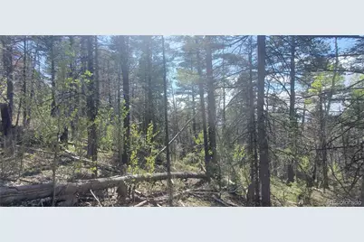 Lot 5610 Dawson Road, Fort Garland, CO 81133 - Photo 11