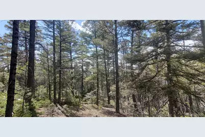 Lot 5610 Dawson Road, Fort Garland, CO 81133 - Photo 15