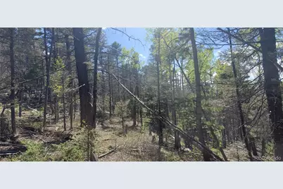 Lot 5610 Dawson Road, Fort Garland, CO 81133 - Photo 7