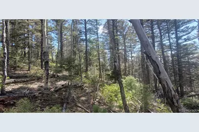 Lot 5610 Dawson Road, Fort Garland, CO 81133 - Photo 5