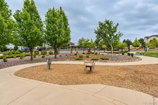 11263 Glenmoor Cir, Parker, CO 80138 - Photo 19