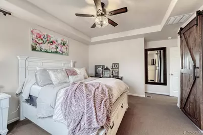 3793 Cadence Drive, Castle Rock, CO 80109 - Photo 23
