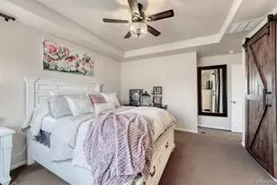 3793 Cadence Dr, Castle Rock, CO 80109 - Photo 23