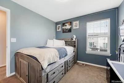3793 Cadence Drive, Castle Rock, CO 80109 - Photo 29