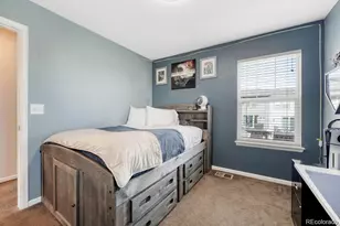 3793 Cadence Dr, Castle Rock, CO 80109 - Photo 29