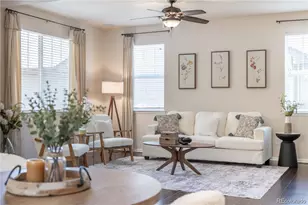 3793 Cadence Dr, Castle Rock, CO 80109 - Photo 5