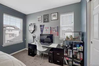 3793 Cadence Drive, Castle Rock, CO 80109 - Photo 31
