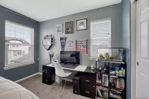3793 Cadence Dr, Castle Rock, CO 80109 - Photo 31