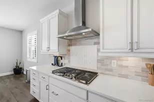 6700 Mentha Dr, Castle Rock, CO 80108 - Photo 11