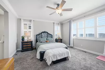 6700 Mentha Drive, Castle Rock, CO 80108 - Photo 15