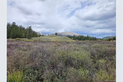 700 Looney Lane, Alma, CO 80420 - Photo 23
