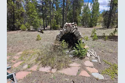 700 Looney Lane, Alma, CO 80420 - Photo 37