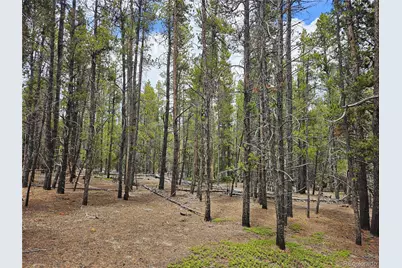 700 Looney Lane, Alma, CO 80420 - Photo 47