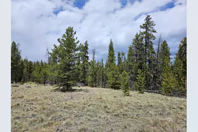 700 Looney Lane, Alma, CO 80420 - Photo 33