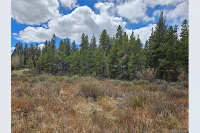 700 Looney Lane, Alma, CO 80420 - Photo 9