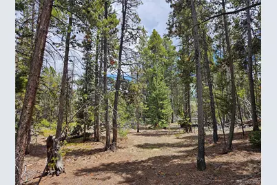 700 Looney Lane, Alma, CO 80420 - Photo 13