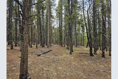 700 Looney Lane, Alma, CO 80420 - Photo 45