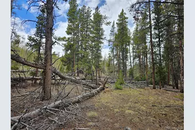 700 Looney Lane, Alma, CO 80420 - Photo 29