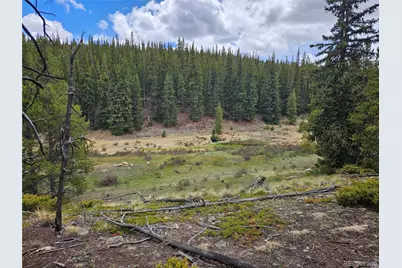 700 Looney Lane, Alma, CO 80420 - Photo 11